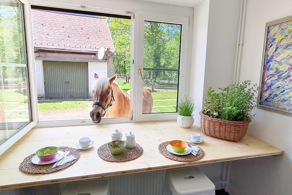 Cosy Family Apartment Райхенау Экстерьер фото